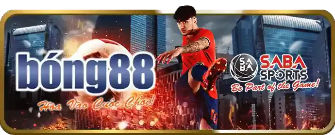 Cân bằng cuộc sống