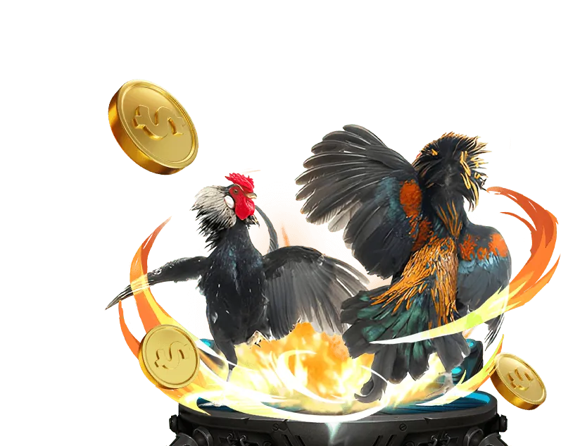 Đá gà Campuchia truyền thống