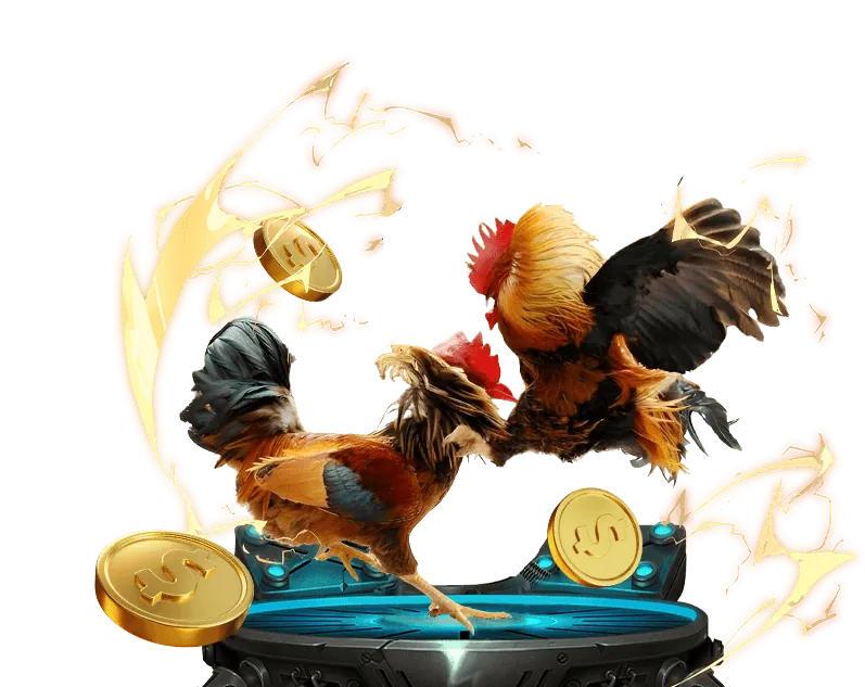 Hoàn trả cược đá gà hàng ngày